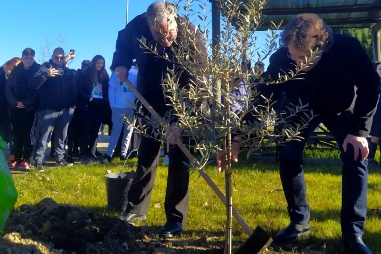 JMJ 2023: Papa fala de acolhimento às famílias. Jovens plantaram árvores