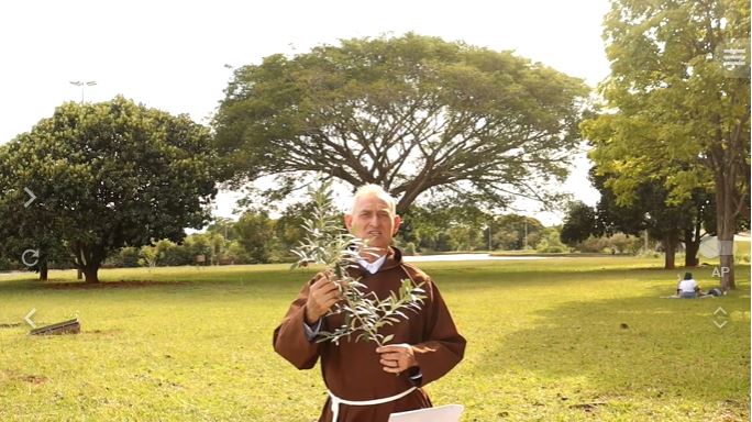 Liturgia Dominical: Domingo de Ramos e da Paixão do Senhor