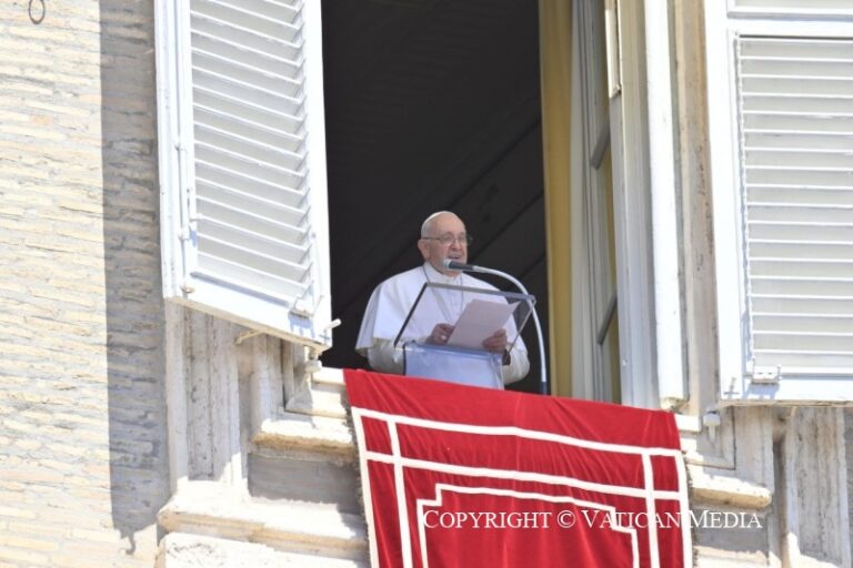 Papa no Angelus: como Maria, sirvo ao próximo sem queixas e louvando a Deus?