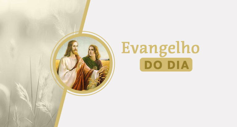 E, estendendo a mão para os discípulos, Jesus disse: “Eis minha mãe e meus irmãos”.Bem-aventurada Virgem Maria do Monte Carmelo, Festa